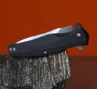 Кизляр Раптор