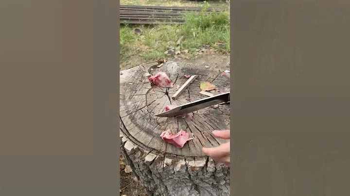 нобор бойня 2в1 | Кизлярские ножи