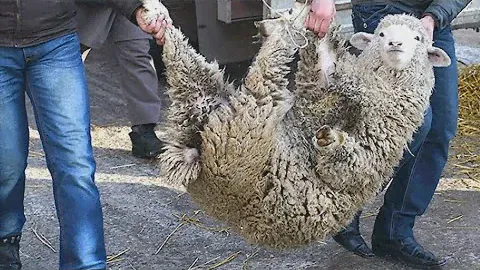 В Дагестане отметили Курбан-Байрам