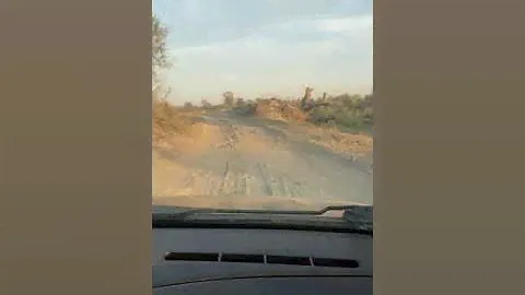 Терек кизляр