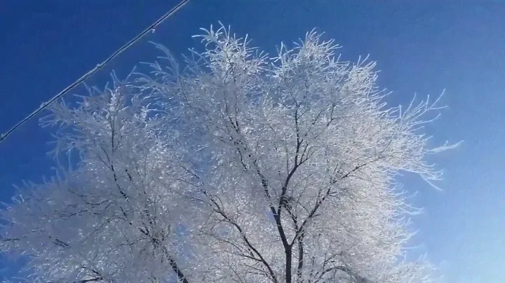 Зима в Кизляре (11.02.2020)