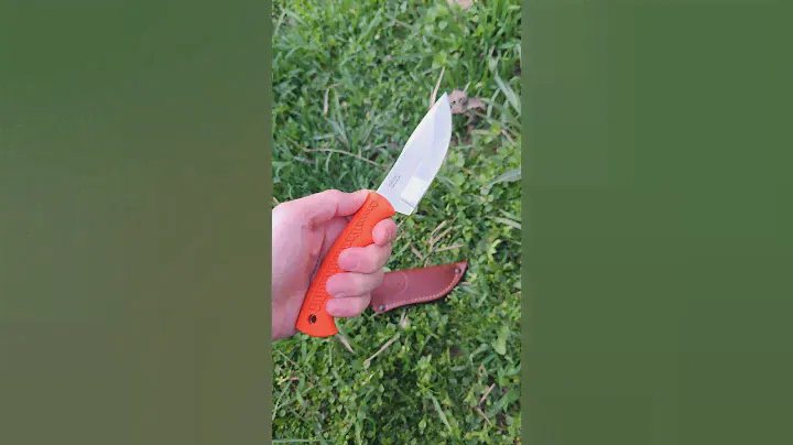 Яркий Караколь ORANGE нож  от ООО ПП Кизляр/KIZLYAR KNIVES #knife #кизлярскийнож #kizlyar