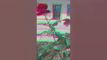 Прогулка.КИЗЛЯР