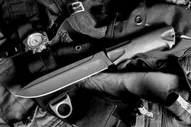 3810 Кизляр Ворон-3