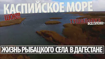 ШОК!  Вся правда! Жизнь приморского села Дагестана. Кизляр, село Тушиловка.