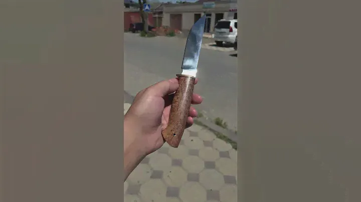 Нож для охоты и на отдых #рекомендации #кизлярскиеножи #охота