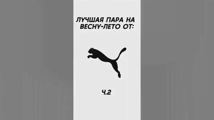 Бюджетный Шашлычный Набор в Кейсе