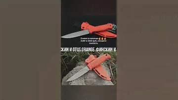 Финский и Otus orange