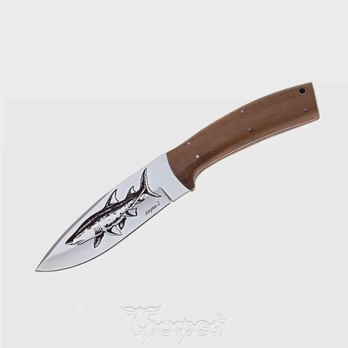 Нож "Акула-2" 50631 Кизляр-1