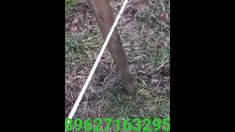 шашка Атаман из стали 65 х 13