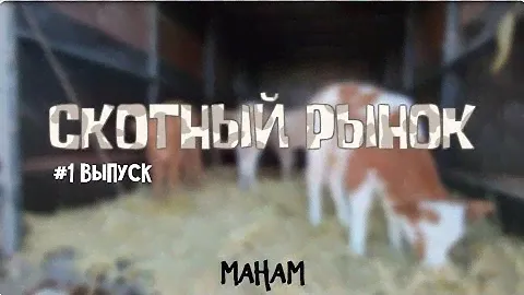 #Влог Скотный Рынок г.Кизляр | #1 Выпуск