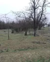 Продам земельный участок ижс 6.0 сот город Кизляр садовое некоммерческое товарищество Золотая Долина